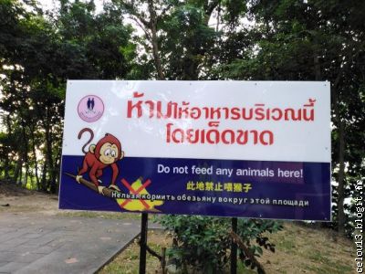 Comme c est ecrit.. ne pas donner a manger aux singes par securite