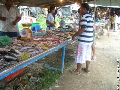 le banc de poissons