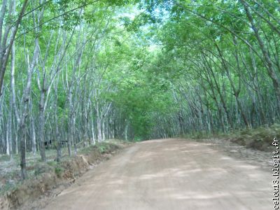 Mais c'est aussi beau .....qu'un autoroute ....non ??