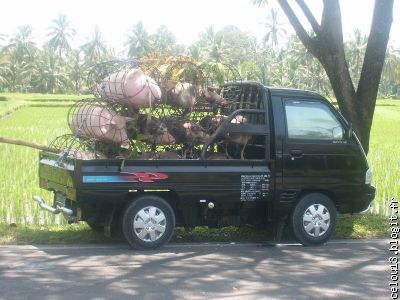 petit vehicule et toujours beaucoup de monde a bord