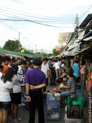 Marché aux chiens et autres animaux