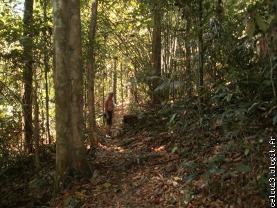 Un des chemins du Park