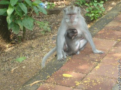 maman et son bebe